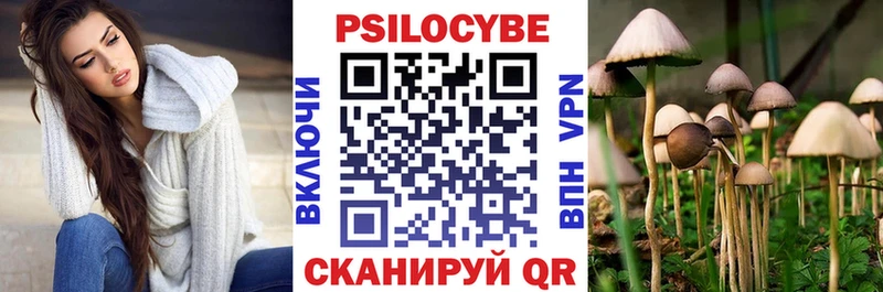 Псилоцибиновые грибы Magic Shrooms  Купить закладки  Заречный 